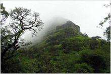 kerala tour packages